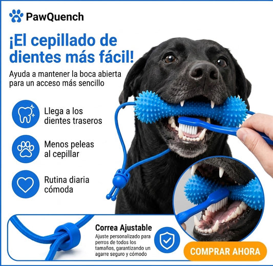 Pack Botella + Hueso