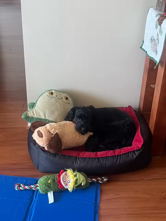 La primera noche durmió del tirón
