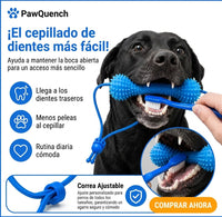 Pack Botella + Hueso