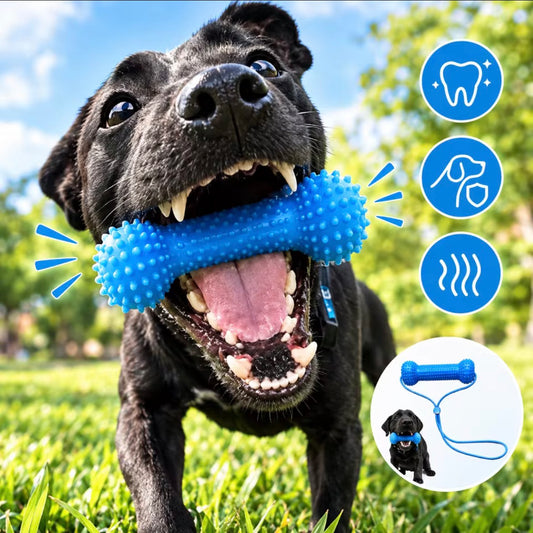 Hueso dental para perros con correa ajustable
