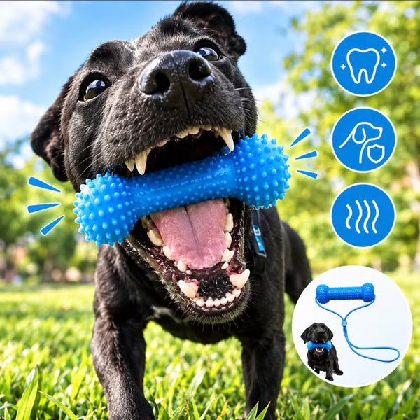 Hueso dental para perros con correa ajustable
