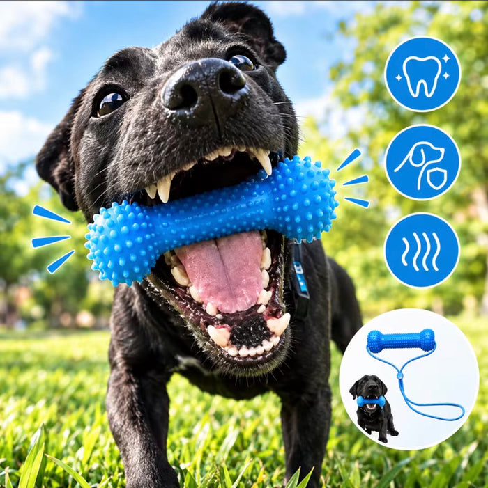 Hueso dental para perros con correa ajustable